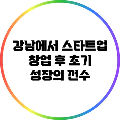 강남에서 스타트업 창업 후 초기 성장의 껀수