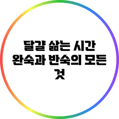 달걀 삶는 시간: 완숙과 반숙의 모든 것