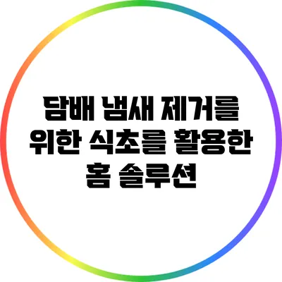 담배 냄새 제거를 위한 식초를 활용한 홈 솔루션