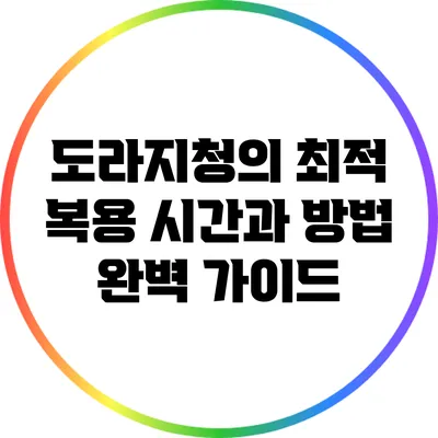 도라지청의 최적 복용 시간과 방법 완벽 가이드