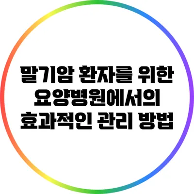 말기암 환자를 위한 요양병원에서의 효과적인 관리 방법