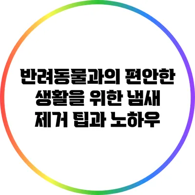 반려동물과의 편안한 생활을 위한 냄새 제거 팁과 노하우