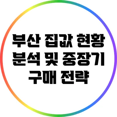 부산 집값 현황 분석 및 중장기 구매 전략
