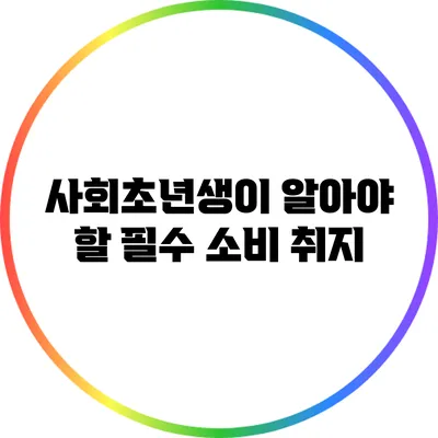 사회초년생이 알아야 할 필수 소비 취지