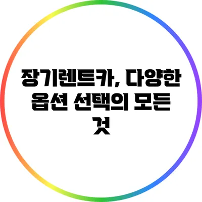 장기렌트카, 다양한 옵션 선택의 모든 것
