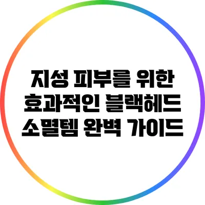 지성 피부를 위한 효과적인 블랙헤드 소멸템 완벽 가이드