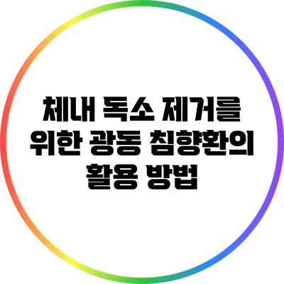 체내 독소 제거를 위한 광동 침향환의 활용 방법