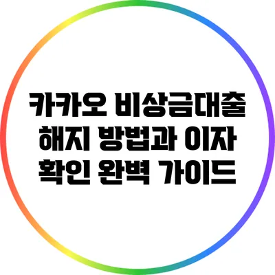 카카오 비상금대출 해지 방법과 이자 확인 완벽 가이드