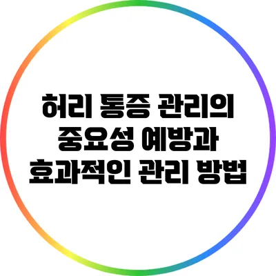 허리 통증 관리의 중요성: 예방과 효과적인 관리 방법