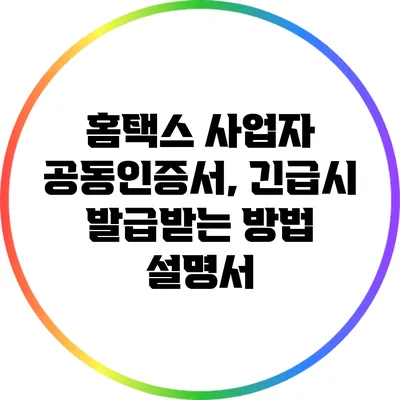 홈택스 사업자 공동인증서, 긴급시 발급받는 방법 설명서