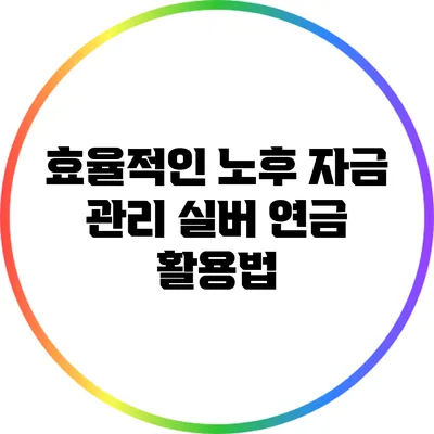 효율적인 노후 자금 관리: 실버 연금 활용법