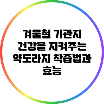 겨울철 기관지 건강을 지켜주는 약도라지 착즙법과 효능