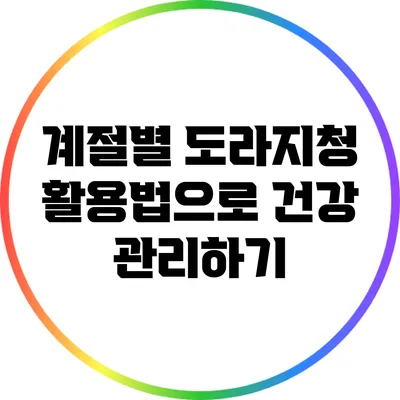 계절별 도라지청 활용법으로 건강 관리하기