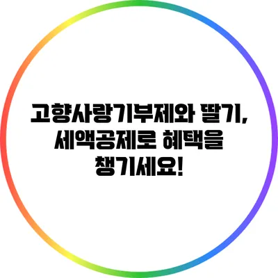 고향사랑기부제와 딸기, 세액공제로 혜택을 챙기세요!