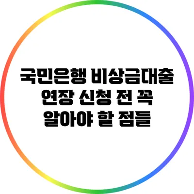 국민은행 비상금대출 연장 신청 전 꼭 알아야 할 점들