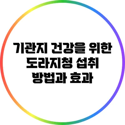 기관지 건강을 위한 도라지청 섭취 방법과 효과