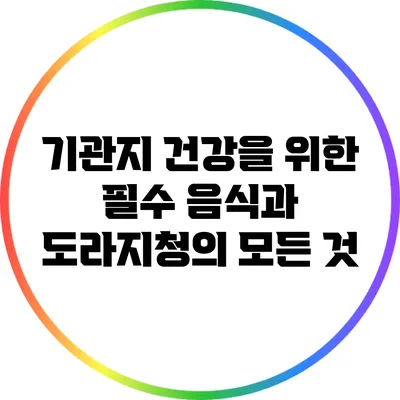 기관지 건강을 위한 필수 음식과 도라지청의 모든 것
