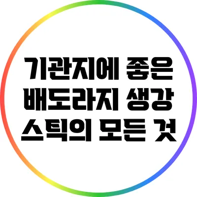 기관지에 좋은 배도라지 생강 스틱의 모든 것
