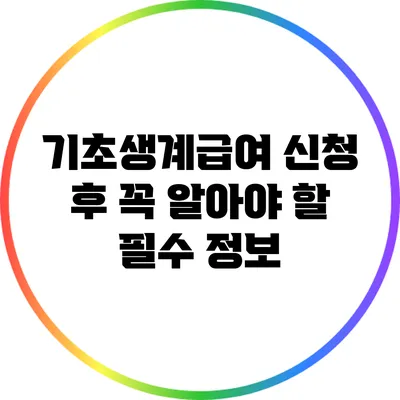 기초생계급여 신청 후 꼭 알아야 할 필수 정보