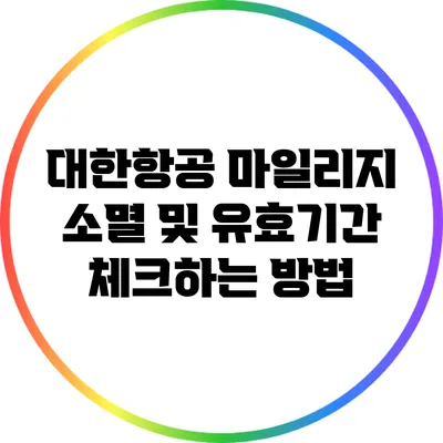 대한항공 마일리지 소멸 및 유효기간 체크하는 방법