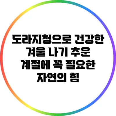 도라지청으로 건강한 겨울 나기: 추운 계절에 꼭 필요한 자연의 힘