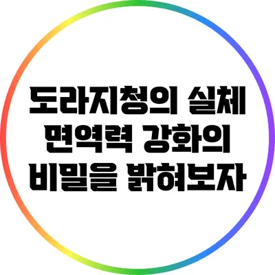 도라지청의 실체: 면역력 강화의 비밀을 밝혀보자