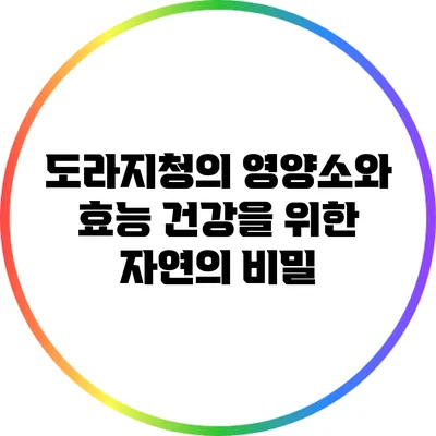 도라지청의 영양소와 효능: 건강을 위한 자연의 비밀