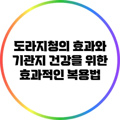 도라지청의 효과와 기관지 건강을 위한 효과적인 복용법