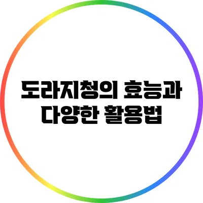 도라지청의 효능과 다양한 활용법
