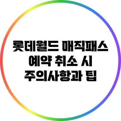 롯데월드 매직패스 예약 취소 시 주의사항과 팁