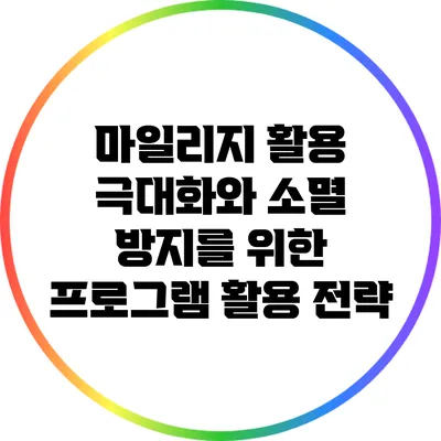 마일리지 활용 극대화와 소멸 방지를 위한 프로그램 활용 전략