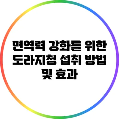 면역력 강화를 위한 도라지청 섭취 방법 및 효과