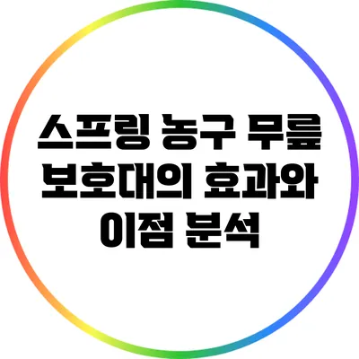 스프링 농구 무릎 보호대의 효과와 이점 분석