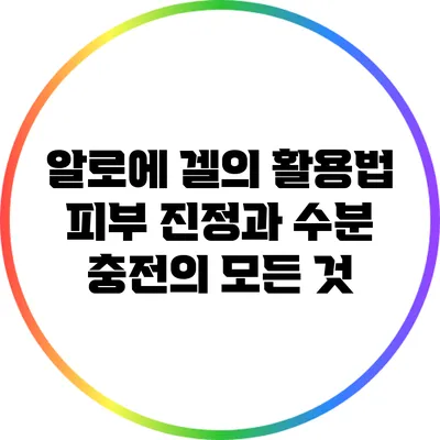 알로에 겔의 활용법: 피부 진정과 수분 충전의 모든 것