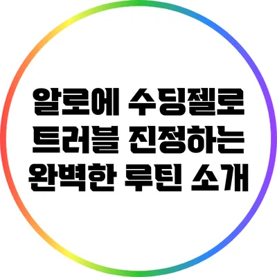 알로에 수딩젤로 트러블 진정하는 완벽한 루틴 소개