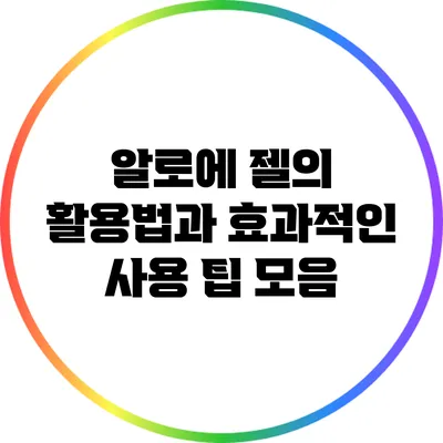 알로에 젤의 활용법과 효과적인 사용 팁 모음