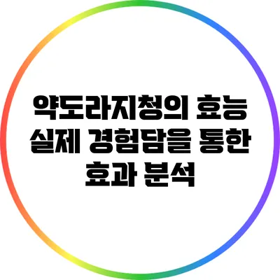 약도라지청의 효능: 실제 경험담을 통한 효과 분석