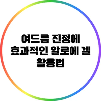 여드름 진정에 효과적인 알로에 겔 활용법