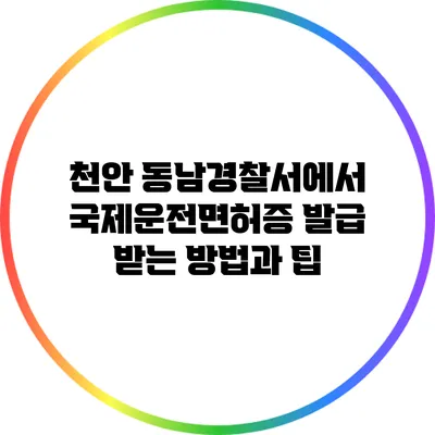 천안 동남경찰서에서 국제운전면허증 발급 받는 방법과 팁