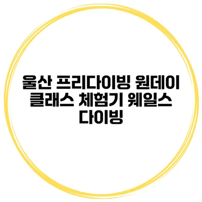 울산 프리다이빙 원데이 클래스 체험기 웨일스 다이빙