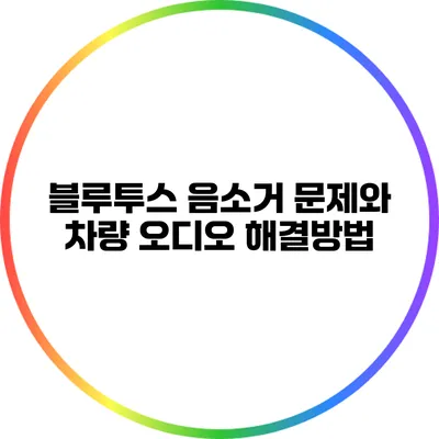 블루투스 음소거 문제와 차량 오디오 해결방법